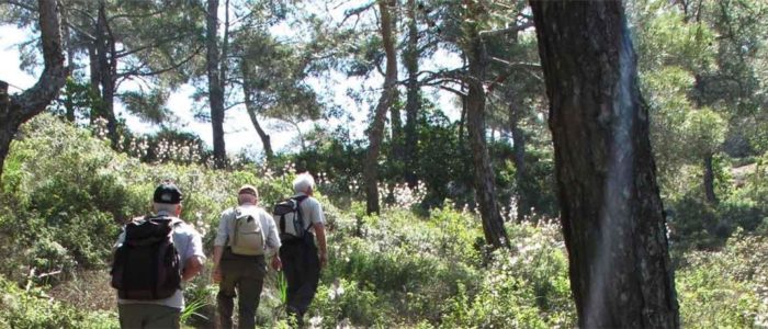 Nord Zypern Wanderurlaub 6