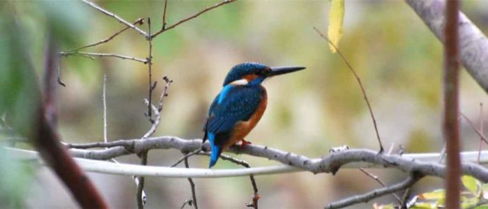 Wanderurlaub – Nordzypern Bellapais