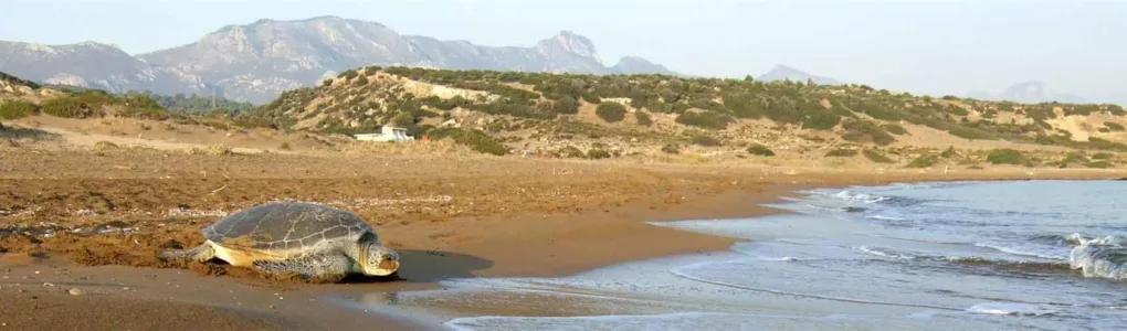 Familien- und Strandurlaub Nordzypern 1