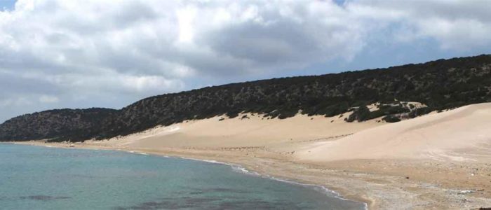 Familien- und Strandurlaub Nordzypern 4